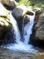 Immagine sofia 195.jpg